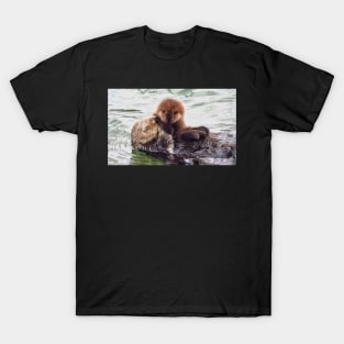 Bundle of fluff T-Shirt